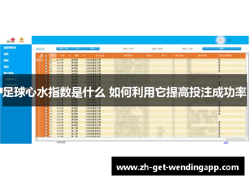 足球心水指数是什么 如何利用它提高投注成功率