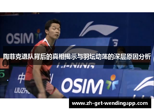陶菲克退队背后的真相揭示与羽坛动荡的深层原因分析 陶菲克退队背后的真相揭示与羽坛动荡的深层原因分析