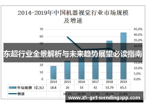 东超行业全景解析与未来趋势展望必读指南