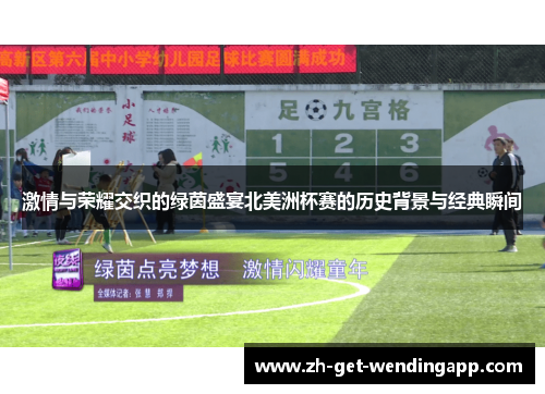 激情与荣耀交织的绿茵盛宴北美洲杯赛的历史背景与经典瞬间 激情与荣耀交织的绿茵盛宴北美洲杯赛的历史背景与经典瞬间