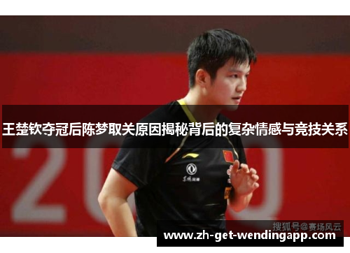 王楚钦夺冠后陈梦取关原因揭秘背后的复杂情感与竞技关系 王楚钦夺冠后陈梦取关原因揭秘背后的复杂情感与竞技关系