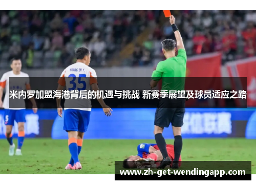 米内罗加盟海港背后的机遇与挑战 新赛季展望及球员适应之路