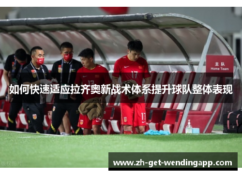 如何快速适应拉齐奥新战术体系提升球队整体表现